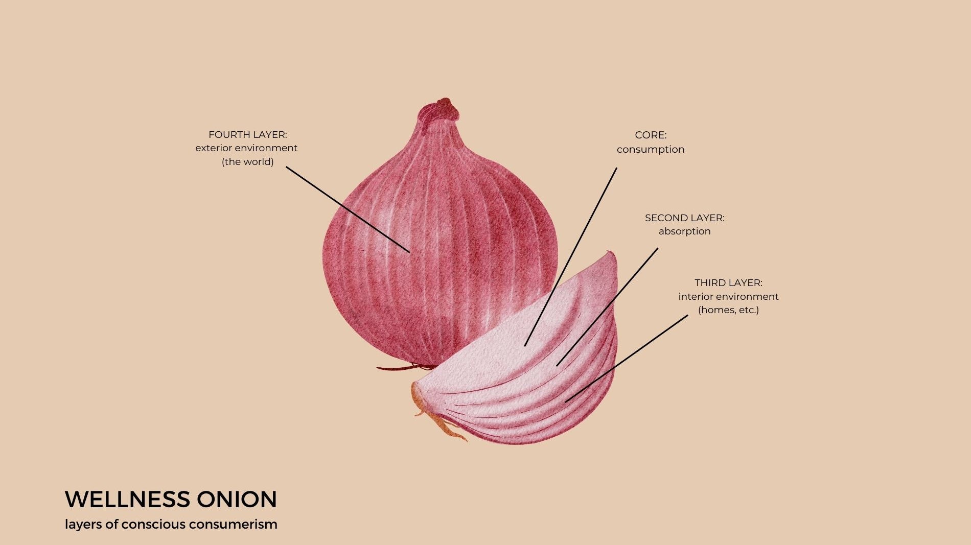 The Wellness Onion: Becoming a Conscious Consumer