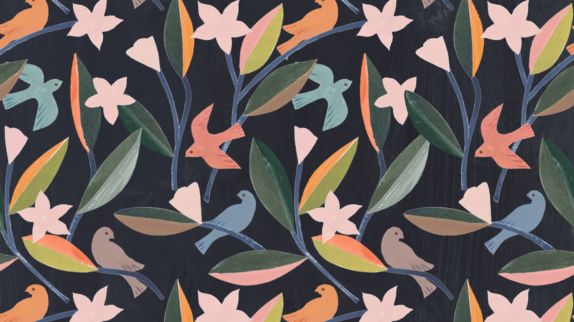 Penelope Dullaghan Cosmos Illustration for Mache