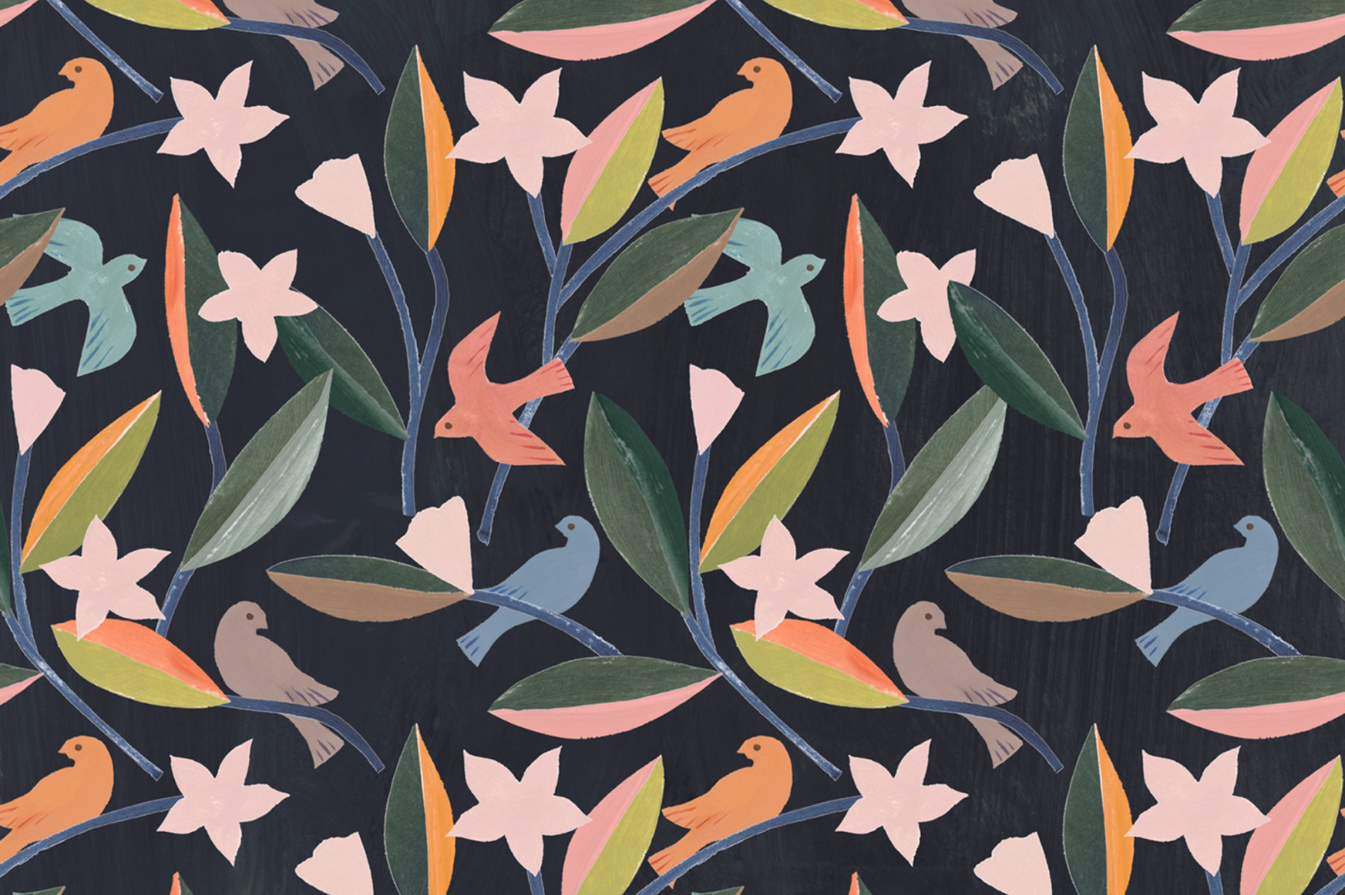 Penelope Dullaghan Cosmos Illustration for Mache