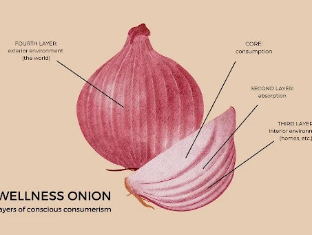Wellness Onion illustration showing common layers of wellness.