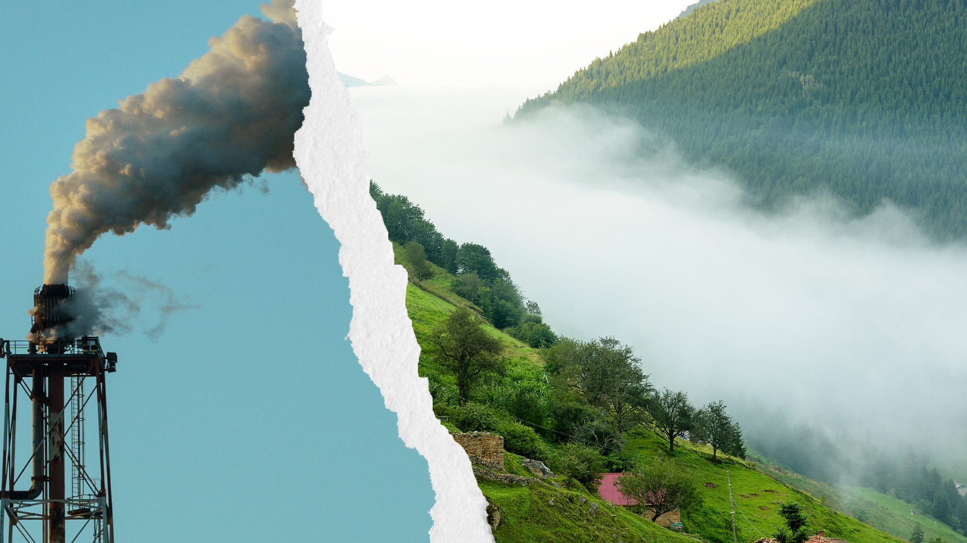 See Through Greenwashing | An Interview with Agreenably