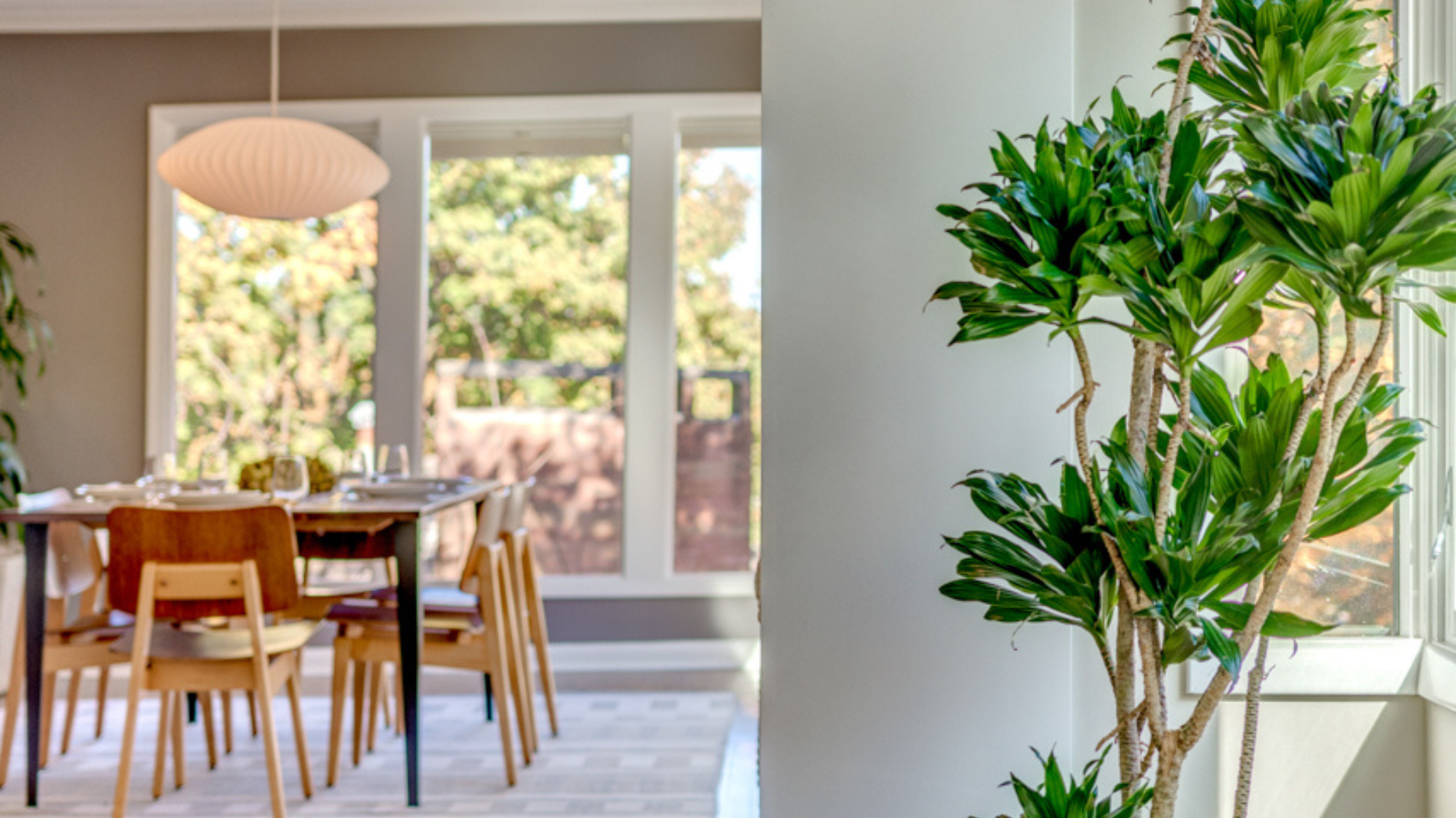 Spring Cleaning Toxins: 5 Ways to Make a Clean and Sustainable Home with Mache