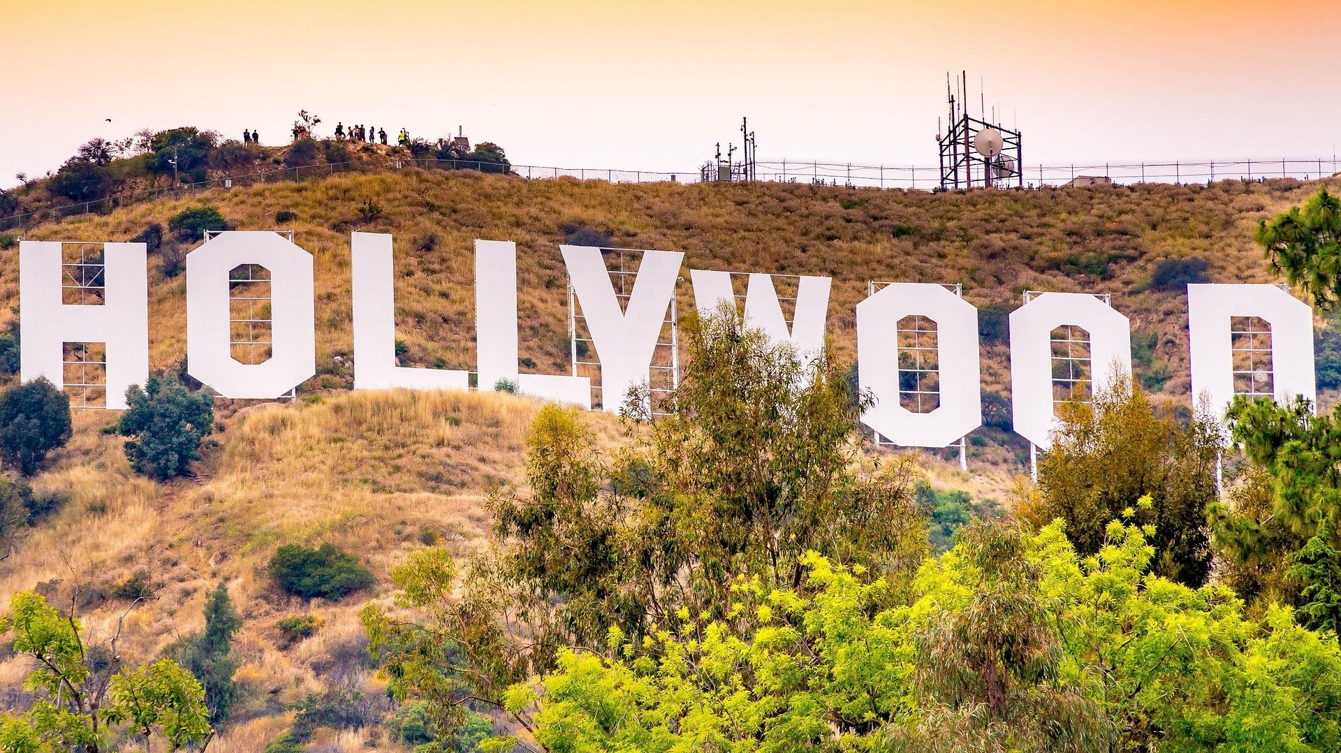 Lights, Camera, Declutter! Hollywood Teaches Us the Power of Organization