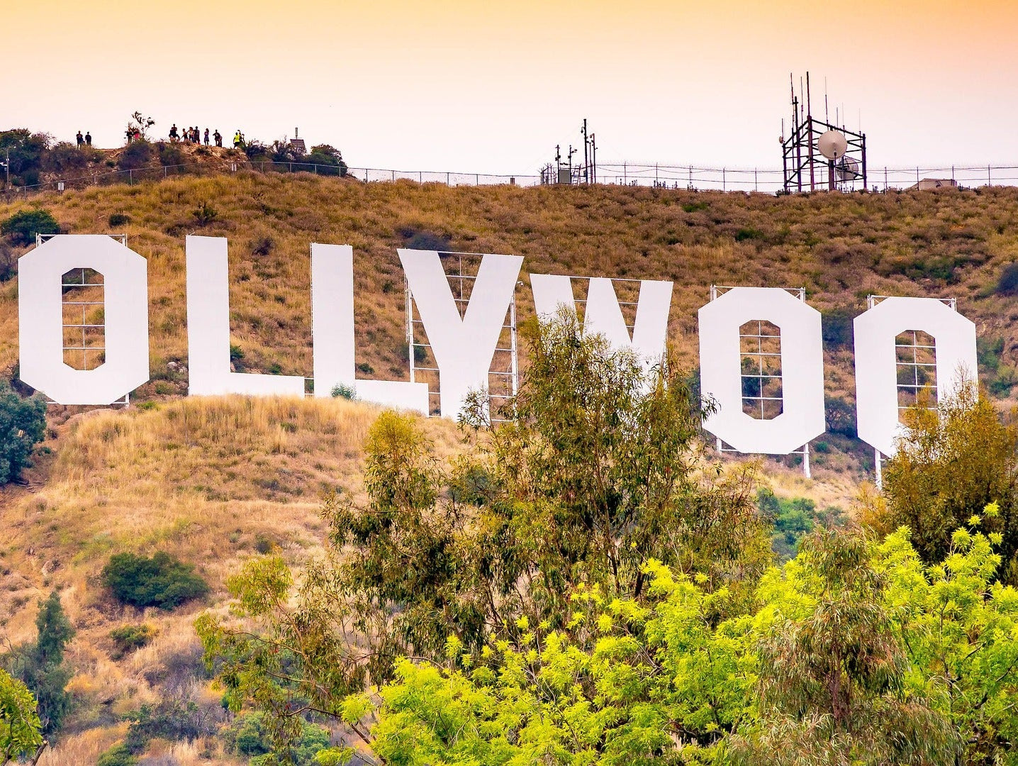 Lights, Camera, Declutter! Hollywood Teaches Us the Power of Organization