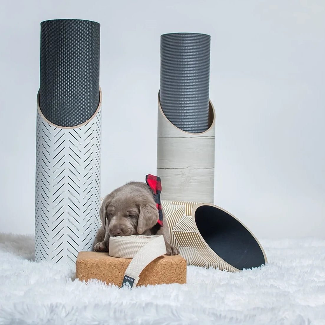 Mache yoga mats, blocks, straps, and storage tubes arranged together, with a puppy amidst the products.