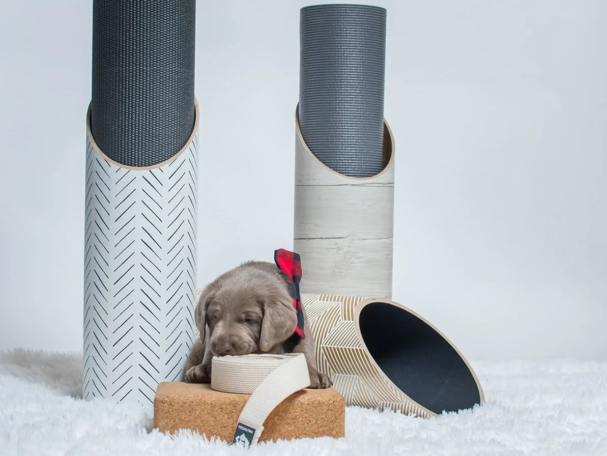 Mache yoga mats, blocks, straps, and storage tubes arranged together, with a puppy amidst the products.