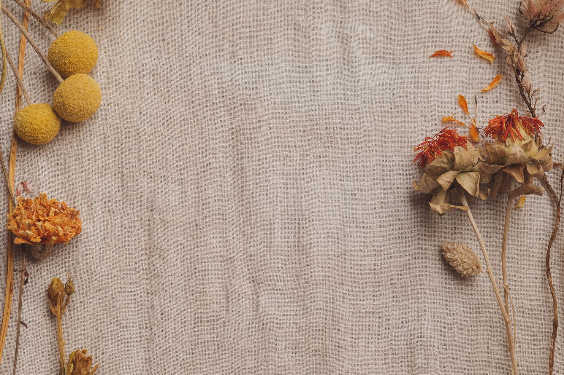 How to Honor America's Indigenous Communities this Thanksgiving