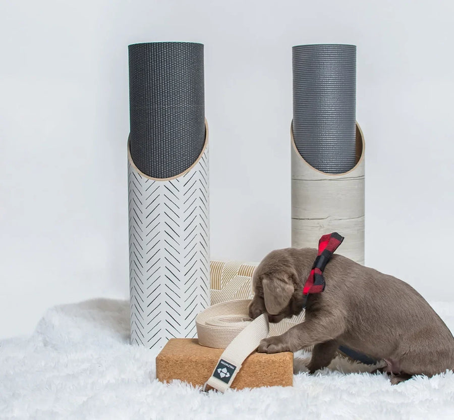  Beginner yoga essentials including eco-friendly mat, cork blocks, cotton strap, bolster, and Mache storage tube arranged in a clean home practice space.