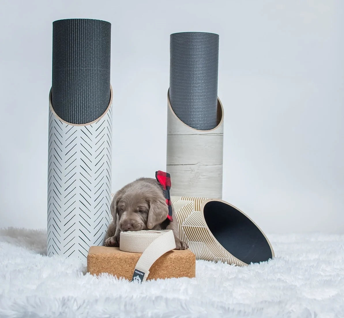Mache yoga mats, blocks, straps, and storage tubes arranged together, with a puppy amidst the products.