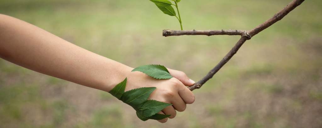 Handshake with nature - where wellness meets design blog by Mache